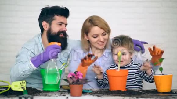 父母教男孩如何照顾花这家人在春天用彩色花盆种花视频的预览图