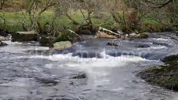 英国德文郡达特河达特摩尔河快速流动的急流河视频的预览图