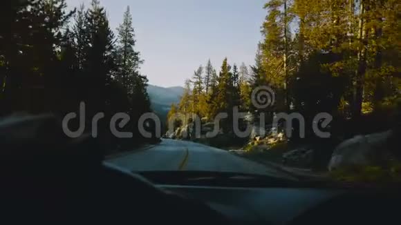 美丽的景色从后面的汽车方向盘驾驶下山的树林道路在日落约塞米蒂公园慢动作视频的预览图