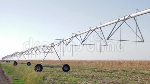 收获前秋季玉米背景灌溉系统的农田视频的预览图