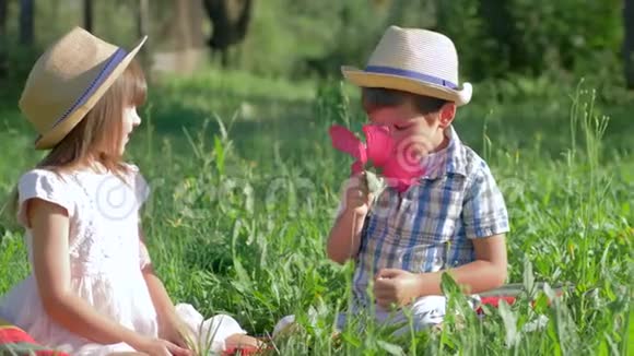 在户外恋爱的小情侣男孩把粉红色的花送给坐在草地上的漂亮女孩视频的预览图