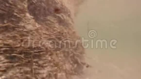 伊比萨的造山机视频的预览图