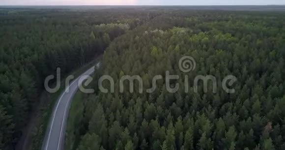 昏暗的针叶林景观和黄昏的道路视频的预览图