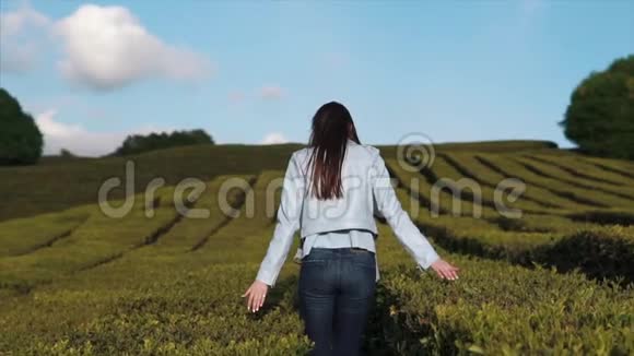 年轻女子独自漫步在茶园里抚摸着灌木丛后景视频的预览图