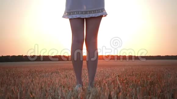 快乐的女孩在日落时举手麦田背景上的女人视频的预览图
