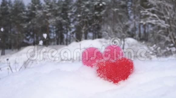 冬日林前白雪上的红粉毛心视频的预览图