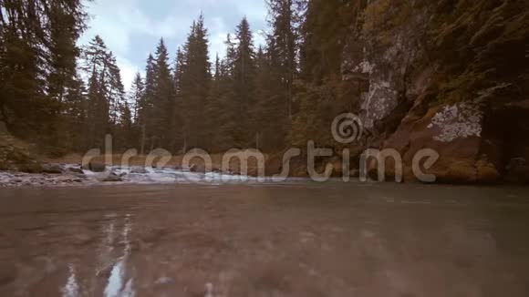 TrentinoAltoadige一条小河在树林的岩石间流淌视频的预览图