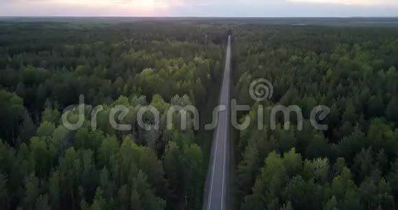 在黄昏时鸟瞰笔直的道路穿过茂密的森林视频的预览图
