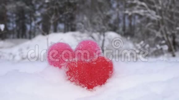冬日林前白雪上的红粉毛心视频的预览图