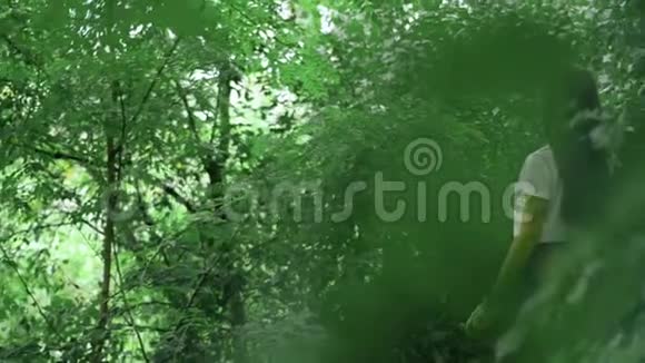 布鲁内特站在森林里视频的预览图