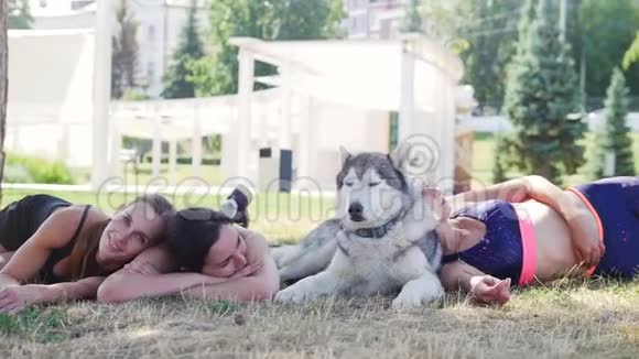 夏天美丽的年轻女人和哈士奇狗在草地上休息视频的预览图