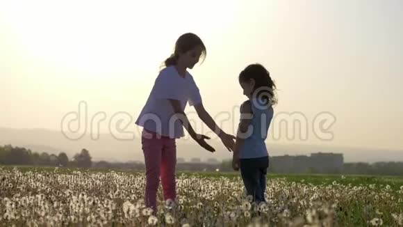 两姐妹手牵着手在郊外城市公园的蒲公英空地上盘旋自由无忧无虑视频的预览图