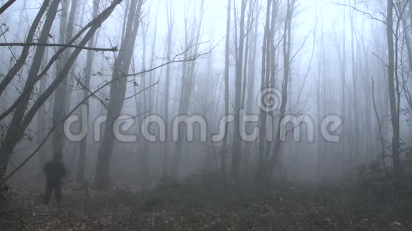 一个孤独的人在雾蒙蒙的森林中离去视频的预览图