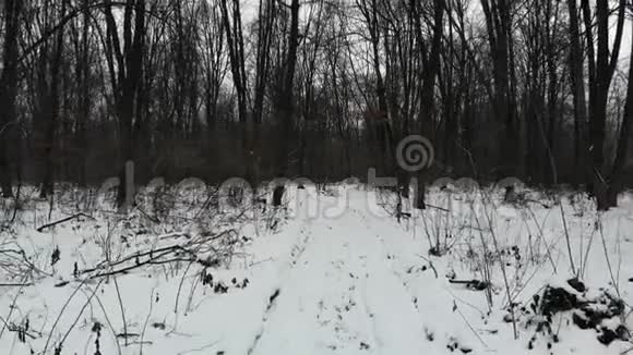 白雪覆盖的土路在树林里冬天的季节低空飞行平稳返回视频的预览图