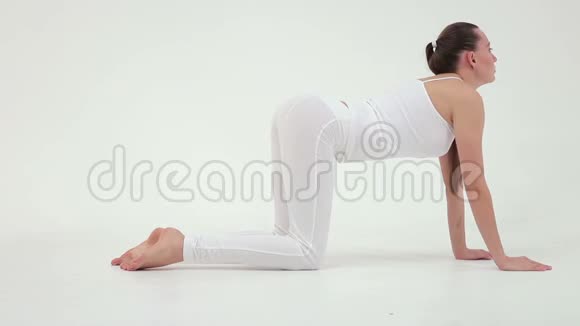 热身运动迷人的运动型女人躺在垫子上腿放在膝盖上背朝上视频的预览图