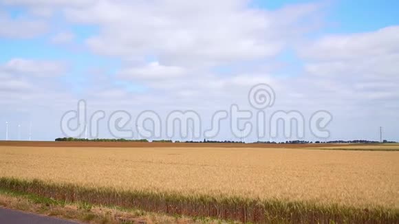 田野里有成熟的小麦和天空视频的预览图