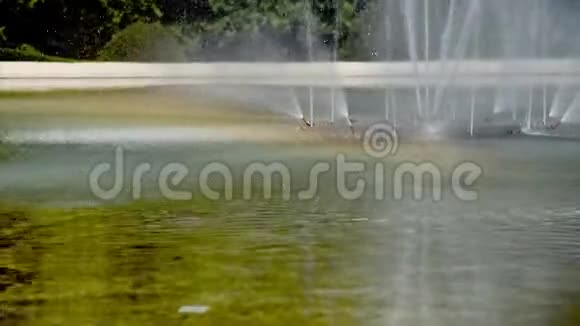 公园里有彩虹的阳光喷泉视频的预览图