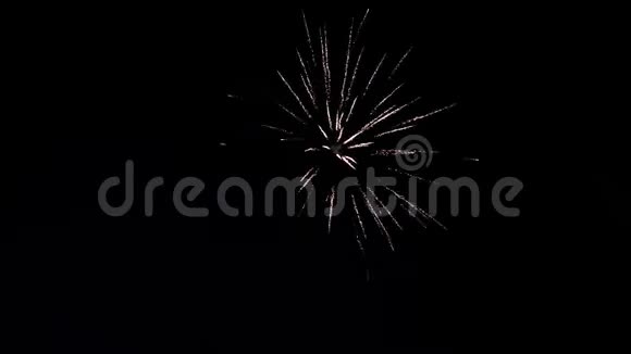 绚丽多彩的烟花在夜空中爆炸美丽的节日烟火慢动作视频的预览图
