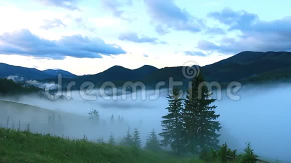 晨雾覆盖的山脉日出时的夏季景观视频的预览图