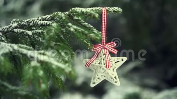 挂在雪杉树上的圣诞装饰明星视频的预览图