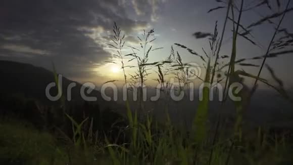 黎明时分从巴萨诺镇上的蒙特格拉帕山上在草药中欣赏风景视频的预览图