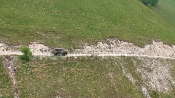 汽车在山区危险的道路上行驶视频的预览图