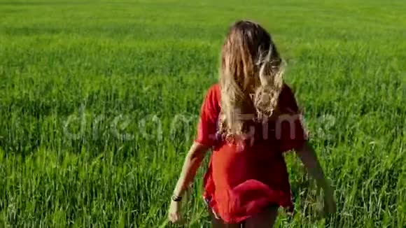 快乐的女人享受自然金发女孩的天空和田野自由概念视频的预览图