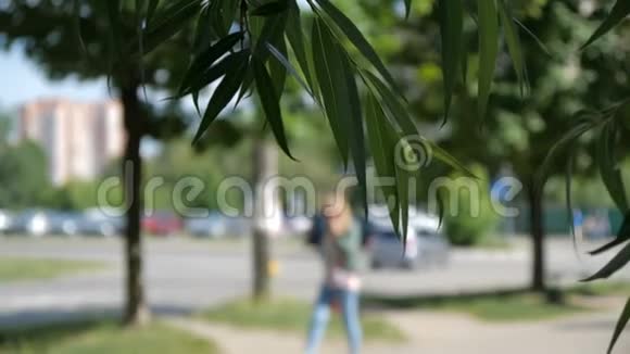 女孩走在街上背景和前景的柳树叶子视频的预览图