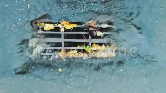 雨期间道路上的水用篦子排入雨水排水管道收集器排水主渠视频的预览图