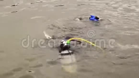 潜水员进入山湖水为紧急救援人员练习技术浸入冷水中视频的预览图