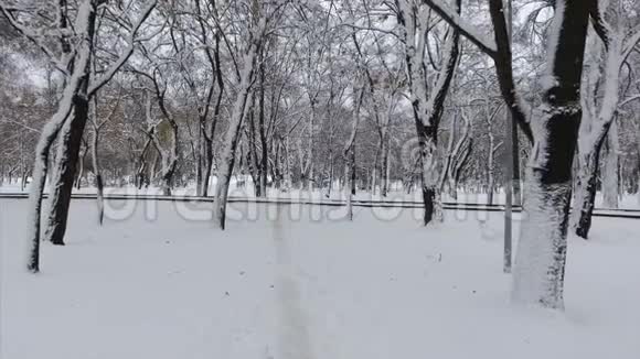 4K冬季公园满是雪街道轨道视频的预览图
