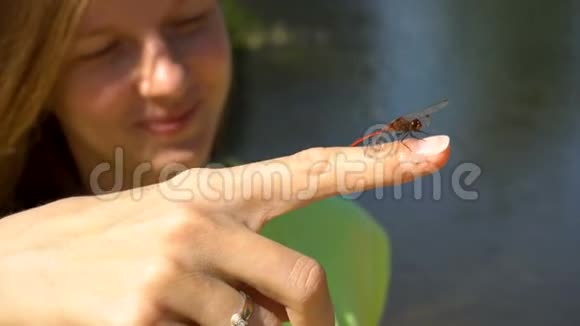 蜻蜓坐在女人的手指上她微笑着视频的预览图