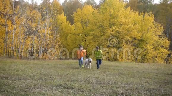 两个带着金毛猎犬跑在田里视频的预览图