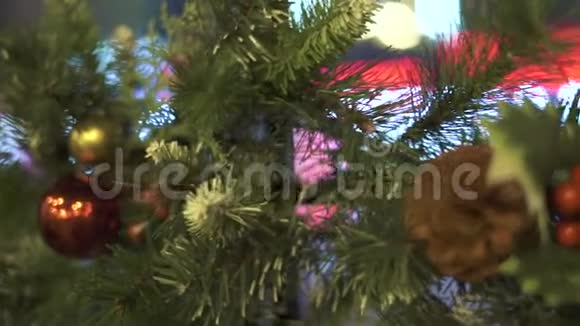 来自冷杉树的圣诞花环玻璃窗户上有球锥和红色冬青浆果献上新年的花环视频的预览图
