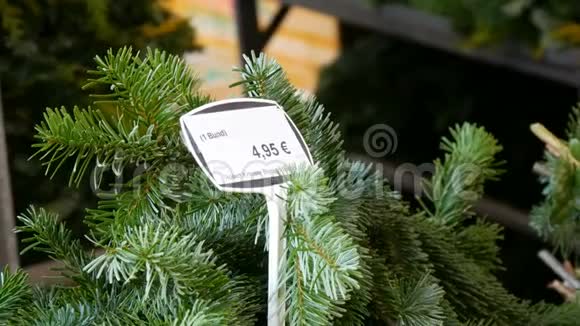 在德国纽伦堡欧洲的圣诞树销售价格标签出售枞树枝以供圣诞节上市视频的预览图