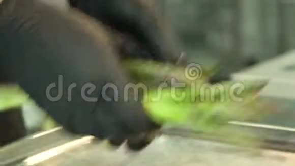 在沸水中煮绿芦笋视频的预览图