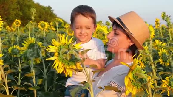 快乐的妈妈和宝宝在夕阳下看着田野里一朵鲜艳的黄色向日葵花一个小男孩坐在他的视频的预览图