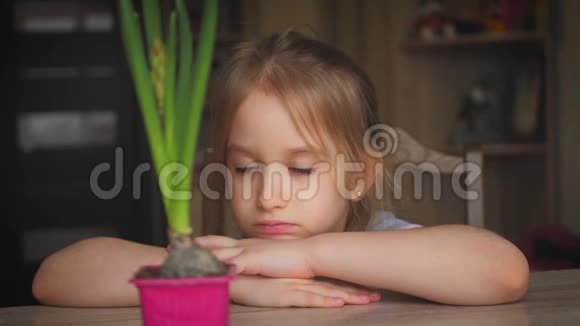 漂亮的年轻女孩看着盆栽表情周到人园艺花卉种植理念视频的预览图