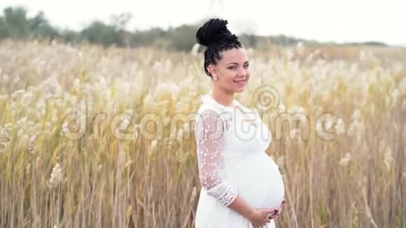 波霍式孕妇抚摸她的大肚子母亲穿着白色连衣裙穿着芦苇背景田野大自然秋天视频的预览图