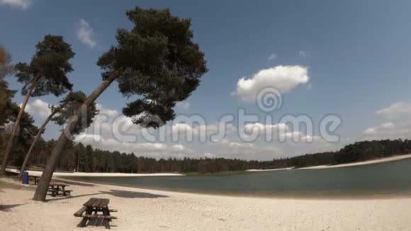 在平静的湖面上有棕榈树小板凳和白沙滩视频的预览图
