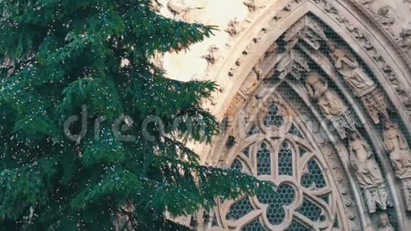 在一个古老的欧洲教堂的背景下美丽的高大的圣诞树在灯光下上的精致雕像视频的预览图