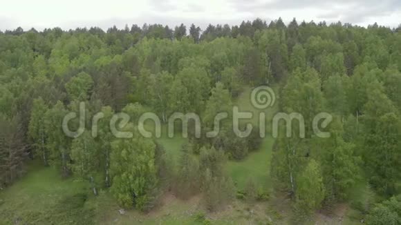 沿着河流飞向森林的质量视频的预览图