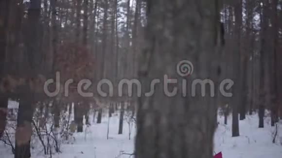 穿着温暖衣服的非裔美国女孩戴着一顶红色帽子围巾和白色夹克穿过冬季森林美丽美丽视频的预览图