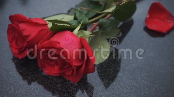 雨中的石头上有两朵红玫瑰视频的预览图