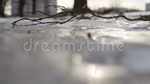 树枝躺在冰面上风载着枯叶视频的预览图