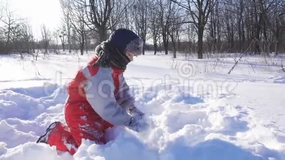 有趣的孩子在冬季公园玩雪球视频的预览图