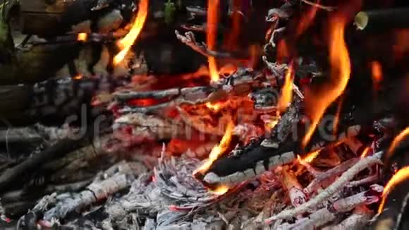 生火做饭野餐大自然中的大篝火视频的预览图