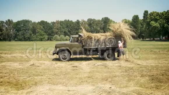 两个人在卡车上收集干草在农村的草田里工作视频的预览图