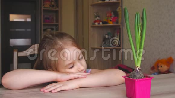 漂亮的年轻女孩看着盆栽表情周到人园艺花卉种植理念视频的预览图