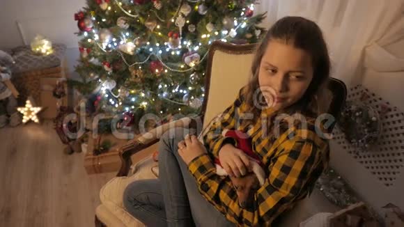 女孩怀里的小狗圣诞树和节日精神4KUHD视频的预览图